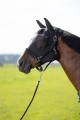 HKM Elasticated Fly Mask